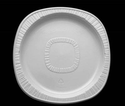 9' POLAR PLASTIC PLATES